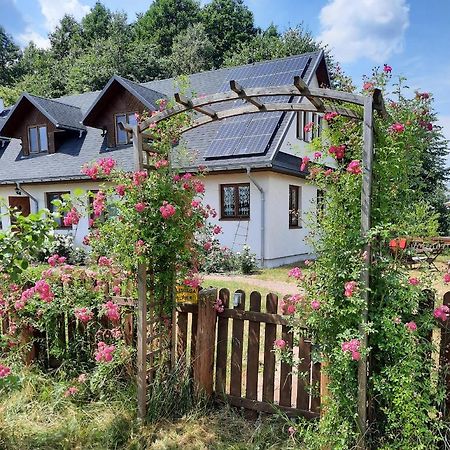 Villa Cichosza - The Sound Of Silence Białowieża Exterior foto